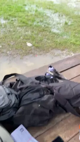 mumpung rung pkl #19 #fyppppppppppppppppppppppp #kebumen24jam #smkmaarif1kebumen #fypシ゚viral 