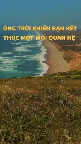 học cách buông bỏ #baihoccuocsong #tamtrang #trietlycuocsong 