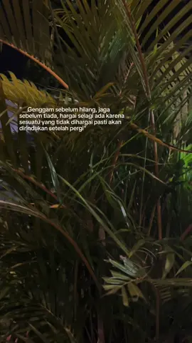 Percuma di genggam kalau dia gamau di genggam huhu selebew🫠 Sewa Apartemen Treeparkcity cikokol  Hubungi admin!! (WhatsApp Only) 📲:0812-9343-8135 #sewaapartemenharian #apartementransit #apartementangerangmurah #apartemenmurah #apartemenmewah #sewaapartemen #apartementangerang #apartementangerangmurah #apartementreeparkcitycikokol #treeparkcitytangerang #treeparkcity #staycationtangerang #staycation #tangerangkota #tangerang #tangeranghits #foryoupage #fyp #beranda #berandatiktok #masukberanda #bems #adminganteng #bemsroom  #fyppppppppppppppppppppppp  #fyppppppppppppppppppppppp