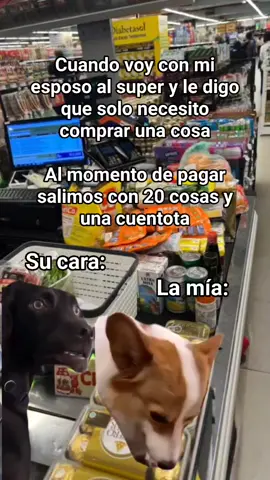 El más sorprendido 😂😂😂😂🤣  #viraltiktok #parati #viral #maestra #CapCut 