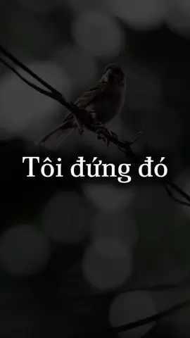 Tôi đứng đó như hình một pho tượng#CapCut #xuhuong #nhacsuy #nhacbuon #nhachaymoingay 