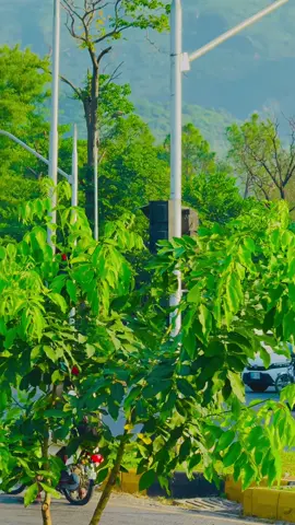 Juma Mubaruk to Everyone Across The World 🤲🌺#fyp #fypツ #foryou #foryoupage #islamabad 