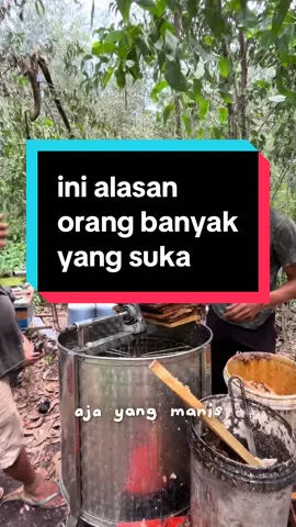 bukan hanya manis tapi dapat banyak manfaat #promomakangajian #maduzenoora #maduakasia #maduhutan #madumurni 