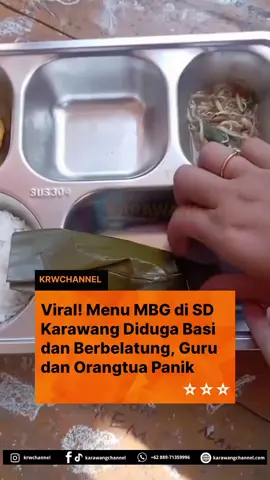 KARAWANG – Sebuah video yang beredar di media sosial memperlihatkan kondisi pepes ayam dalam menu program Makan Bergizi Gratis (MBG) di SDN Palumbonsari 3, Kecamatan Karawang Timur, Kabupaten Karawang, diduga basi hingga dipenuhi belatung, pada Senin (20/10/2025). Dalam video berdurasi hampir satu menit itu, tampak guru dan orang tua murid membuka bungkusan pepes ayam dalam menu MBG yang disajikan untuk siswa. Pepes ayam tersebut terlihat berlendir, berbau menyengat, dan dipenuhi belatung hingga membuat guru dan orang tua khawatir. 