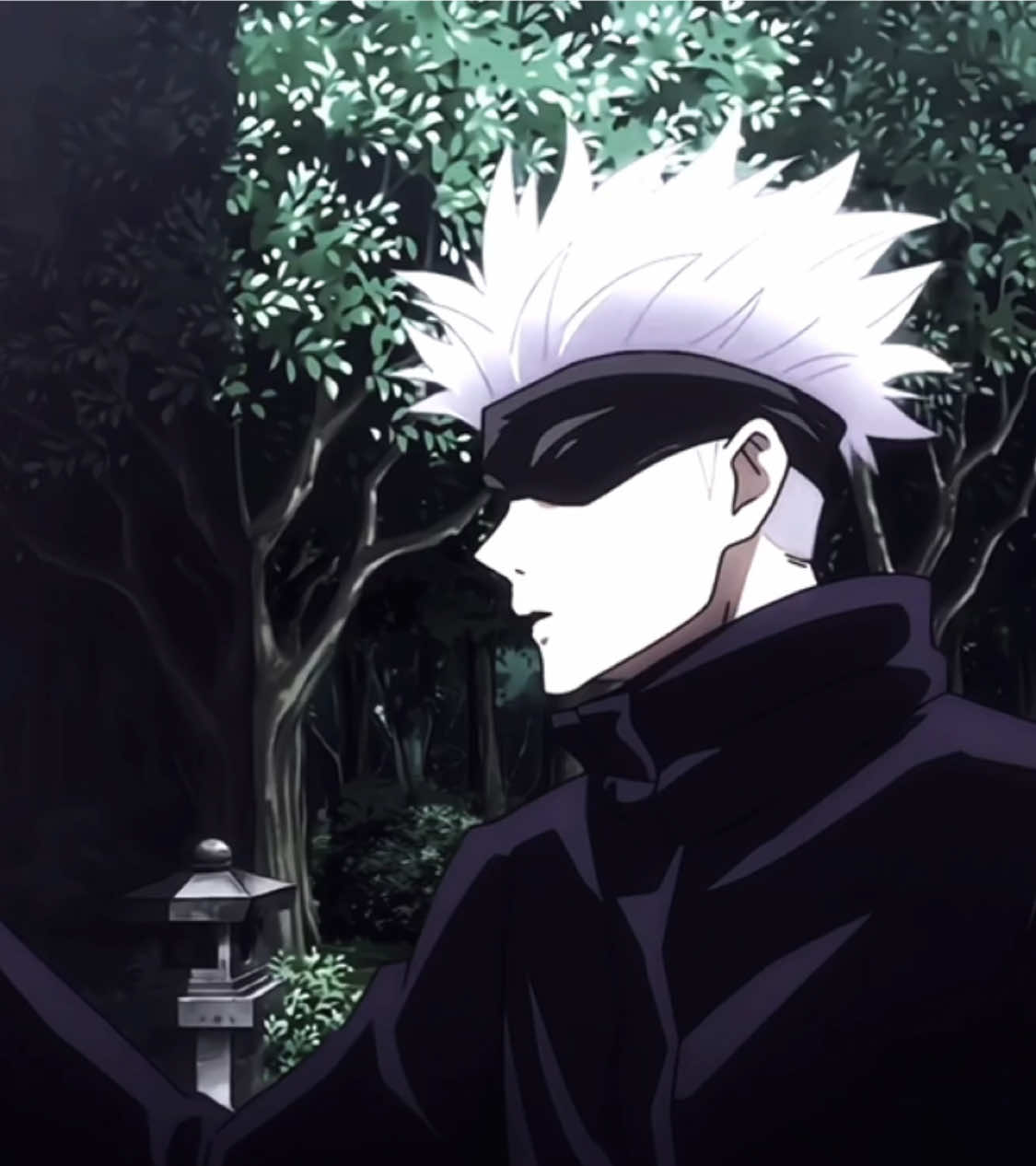 Chú thuật sư bn thik 🌚? #Flow_Monster🌸 #animeedit #_bhunggg_ #yuta #gojo 