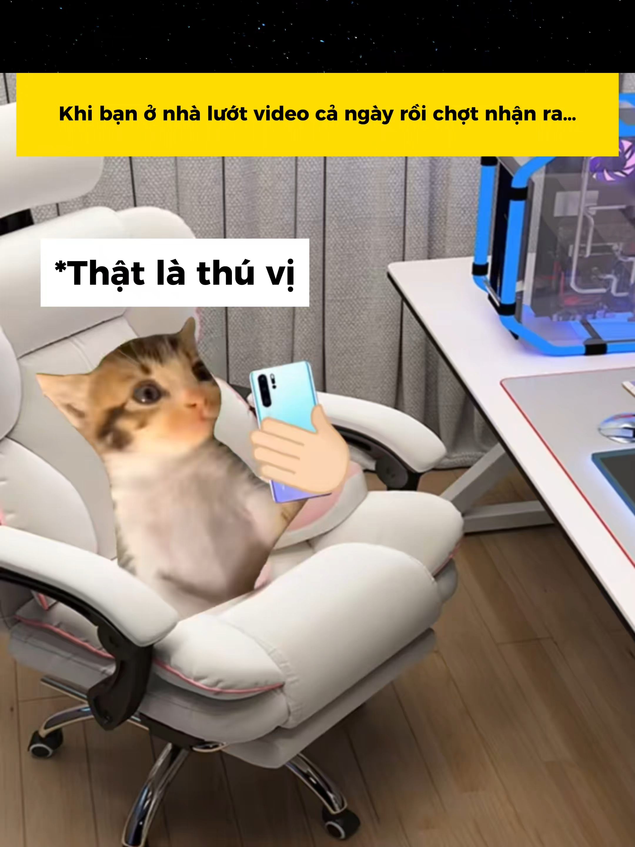 Vừa nạp tiền hôm qua xong #memes #funny #haihuoc #catmeme #cat