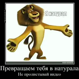 【Карточка следственного изолятора начинает что-то понимать】