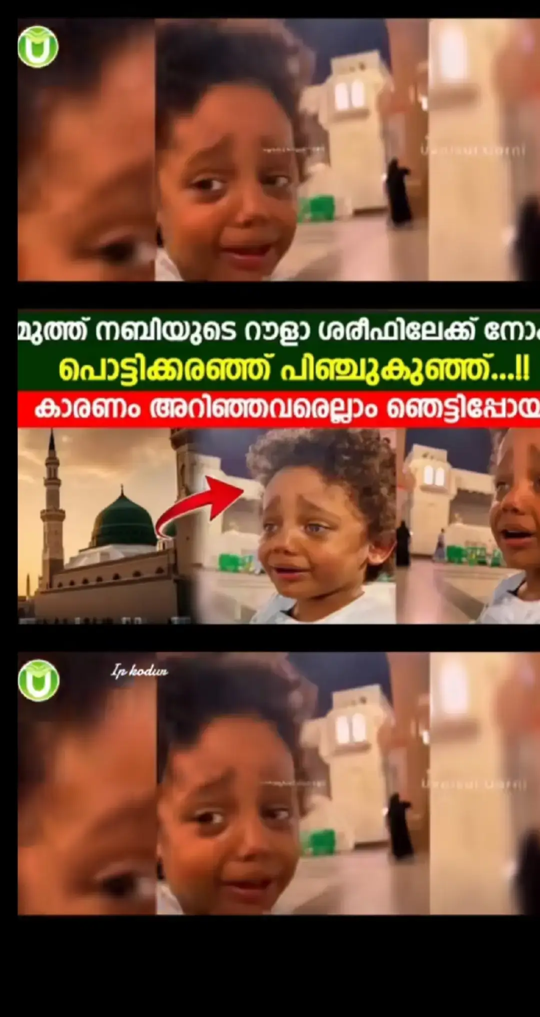 #chunkz ഹബീബായ മുത്ത് മുഹമ്മദ് മുസ്തഫ സല്ലല്ലാഹു സല്ലല്ലാഹു അലൈഹി വസല്ലമ തങ്ങളുടെ ചാരത്തുപോയി എല്ലാവർക്കും സലാം പറയാൻ ഭാഗ്യം തരണേ അള്ളാ 