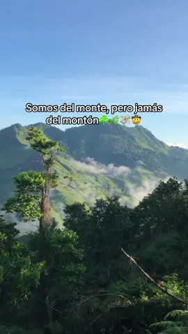 #orgullocampesino #amorporelcampo #capecinos #todoscompartan