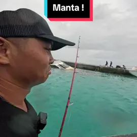 Lần đầu chạm trán Manta ray #lkhoa 