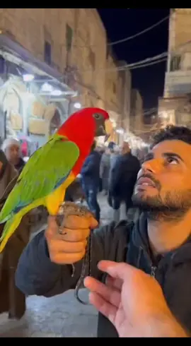 #اشهد_ان_لا_اله_الا_الله 