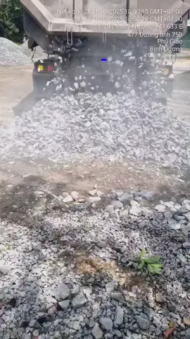 cứ hàng hiếm là múc thôi