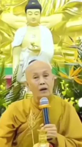 SƯ BÀ TÂM TÂM KHAI THỊ #nammobonsuthichcamauniphat 