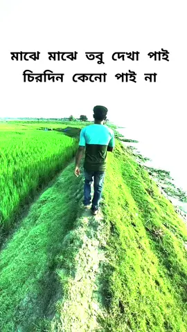 মাঝে মাঝে তবু দেখা পাই চিরদিন কেনো পাই না,😂😂😂