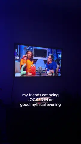 mazzy loves @Rhett & Link  - - - #goodmythicalevening2025 #gme #gmm #goodmythicalmorning #goodmythicalevening #rhettandlink 
