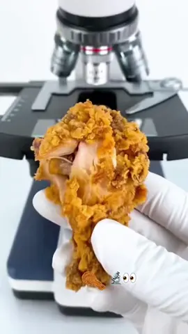 #Microscope #TikTokScience #chekin🍗