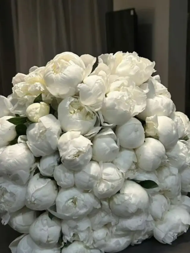 #miami #lifeinmiami #sunnyisles #viral #foryoupage 