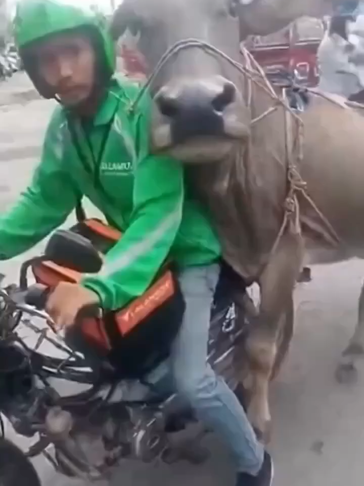 yang order jahat bener wkwk😂😭#kocak #ceritasejenak #lancartoto #videongakak #batang #memetiktok #memengakak #foryou #justforfun #kontenhiburan #sakit #lucu #viral #fyppppppppppppppppppppppp #funny