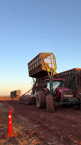 É muita produção num vídeo só  #agro #fyp #viral #explore #colheita 