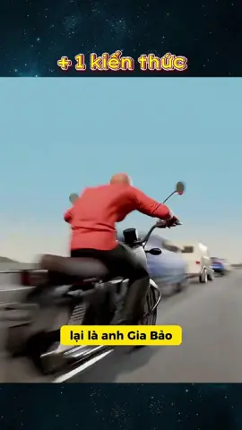 Áo vàng phạt anh Gia Bảo và cái kết #congmotkienthuc #fypシ゚ #viralvideo #haihuoc 