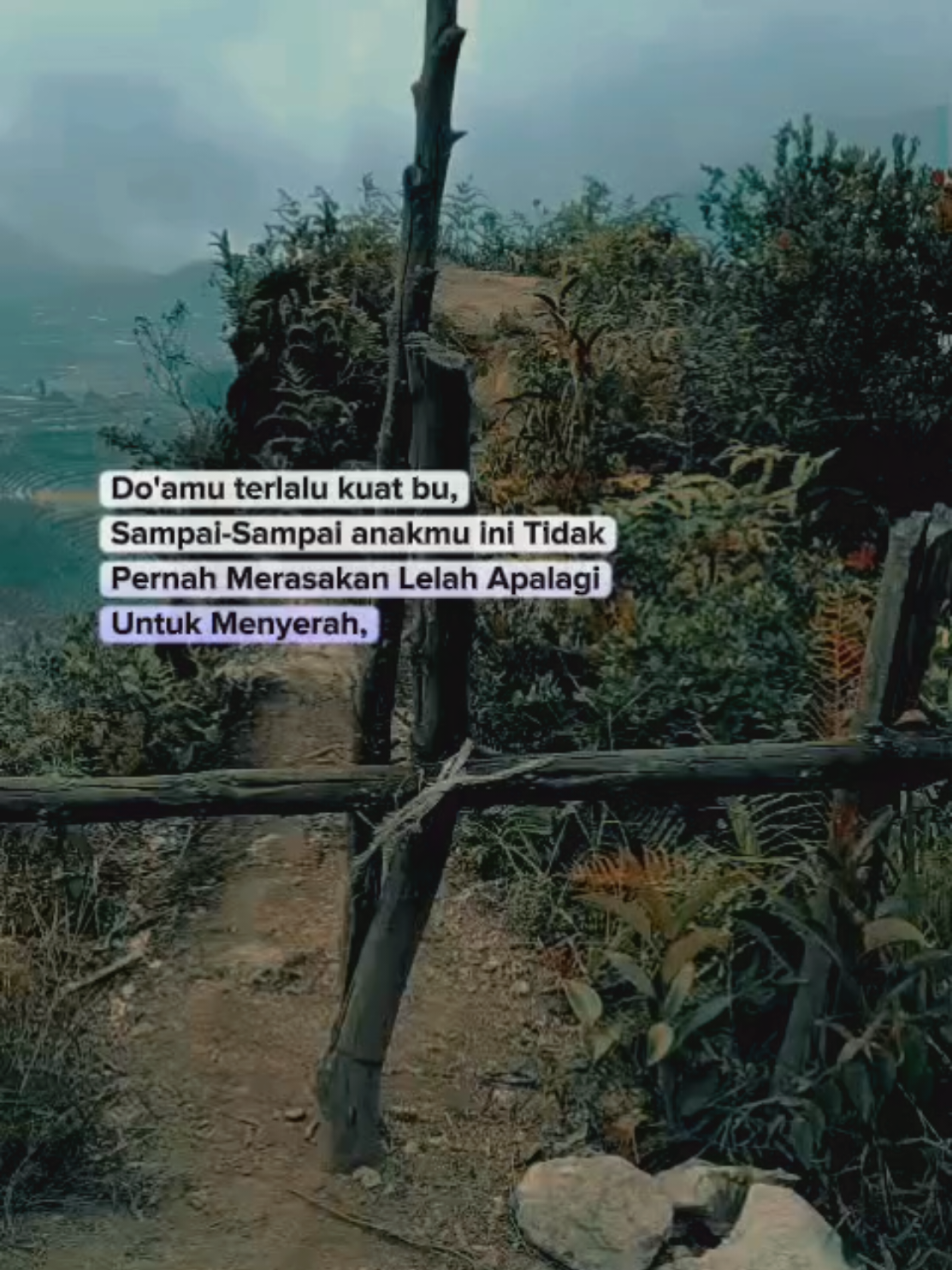 Aku tak akan menyerah,selama nafas masih dikandung badan. Coz we're not a looser.  #gunungpakuwajaviaparikesit  #pendakicantik #indonesianmountain #hickers