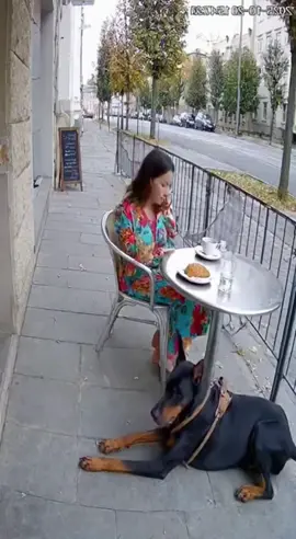 #viral, #foryou, #funny, #wowvideos, #mustsee