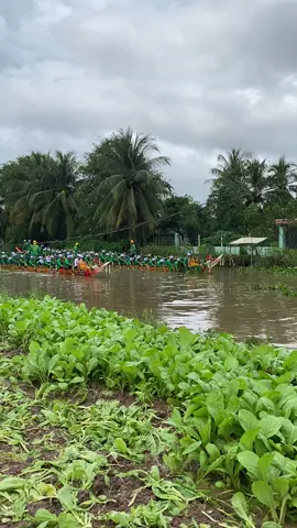 2 ae chùa chén kiểu (sro lôn) tes tốc độ