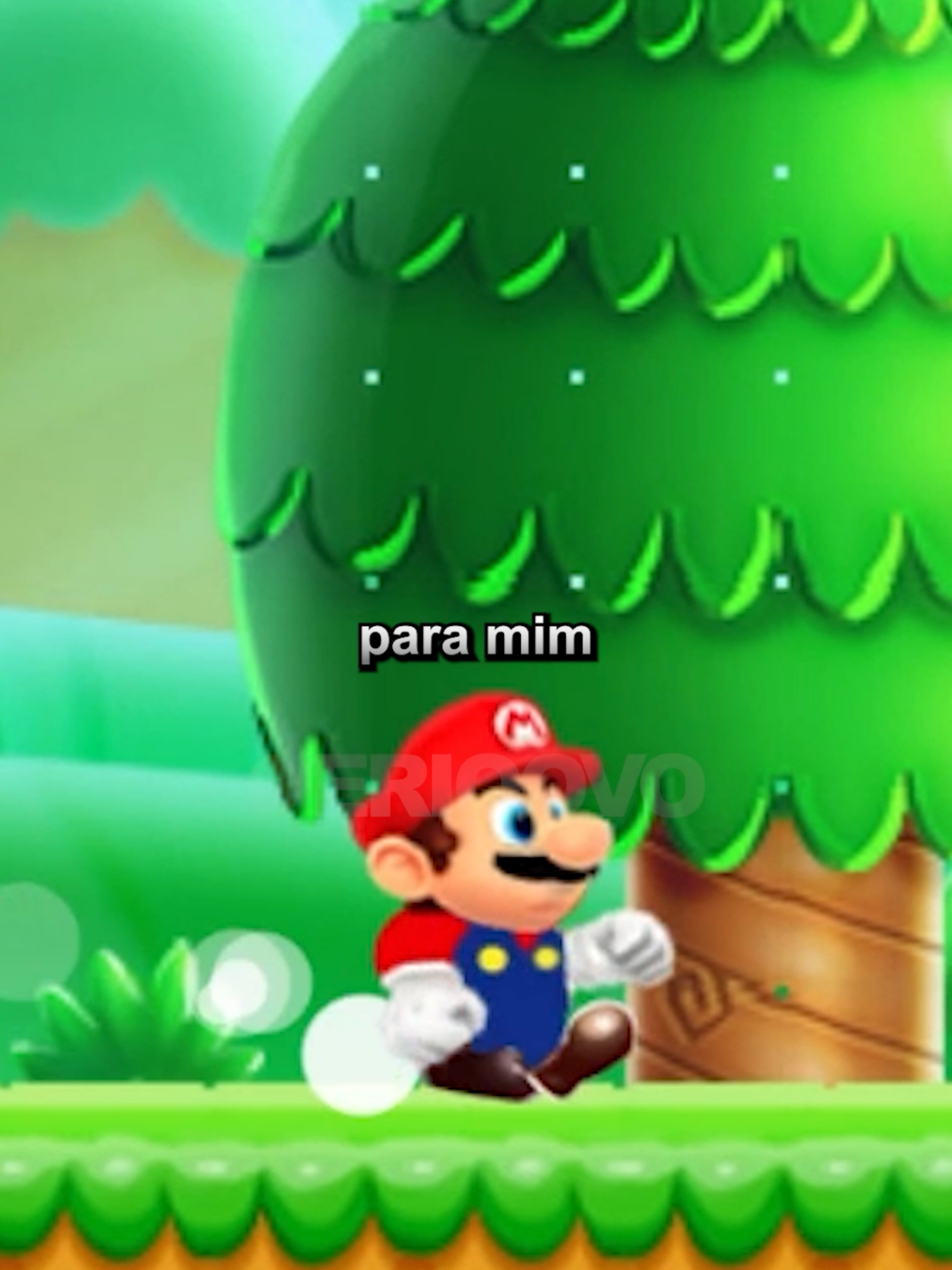 o jogo FALSO do Mario