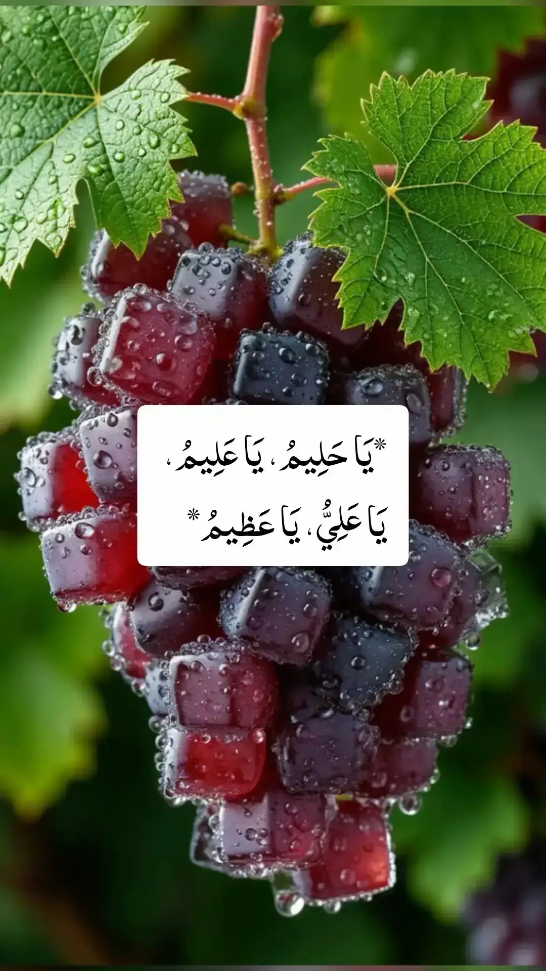 اللَّهُمَّ صَلِّ عَلَى مُحَمَّدٍ وَعَلَى آلِ مُحَمَّدٍ كَمَا صَلَّيْتَ عَلَى إِبْرَاهِيمَ وَعَلَى آلِ إِبْرَاهِيمَ إِنَّكَ حَمِيدٌ مَّجِيدٌ💝💖💝🕋 🕋💝💖💝 اللَّهُمَّ بَارِكْ عَلَى مُحَمَّدٍ وَعَلَى آلِ مُحَمَّدٍ كَمَا بَارَكْتَ عَلَى إِبْرَاهِيمَ وَعَلَى آلِ إِبْرَاهِيمَ إِنَّكَ حَمِيدٌ مَجِيدٌ💖💝💖🕋