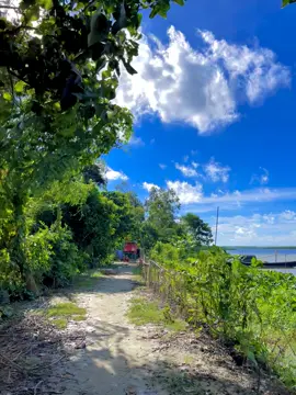 তোমারে গাঙে জলে পাইলো ❤️‍🩹🙂 #foryoupage #fyp #tiktokbangladesh #bdtiktokofficial🇧🇩 #unfrezzmyaccount @TikTok @TikTok Bangladesh 