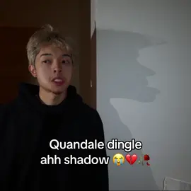Quandale dingle shadow 😂 (Twitch - StableRonaldo) #fyp #stableronaldo #jasontheween 