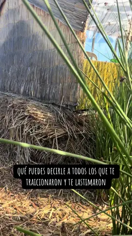 ✈️🦙🎒🏔️🫶❤️‍🩹 #motivation #reflexion #diosesbueno #puno_peru #lagotiticaca🇵🇪 