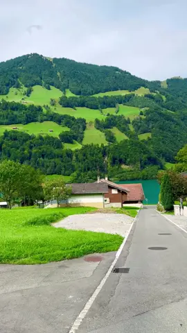 Peace and quiet #nature #greenery #quiet #peace #foryou 