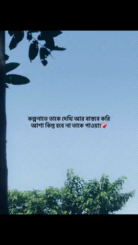 কল্পনাতে তাকে দেখি আর বাস্তবে করি আশা কিন্তু হবে না তাকে পাওয়া!❤️‍🩹 #foryou #banglacaption #sadcaption #emotionalvideo #fyp 