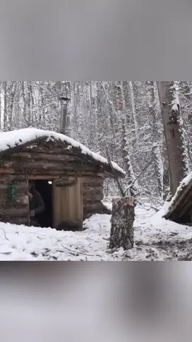 #dugoutshelter #buildingbushcraft #bushcraft #camping #survival 