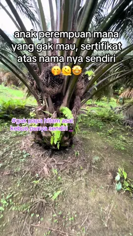 yg cantik punya kuasa kita yg jelek punya kebun sawit bapak aja🤭🤭🌴🌴🌴#fyppppppppppppppppppppppp #anakpetanisawit #anakbungsu #sawitontiktok #4u 