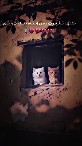 #صديقتي_توام_روحي🥺🦥 #🐱❤️ #خطبه_ريما_الاسطه💍 🐈👀