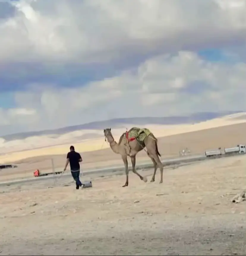 #818✌🏻🔥♥️ 