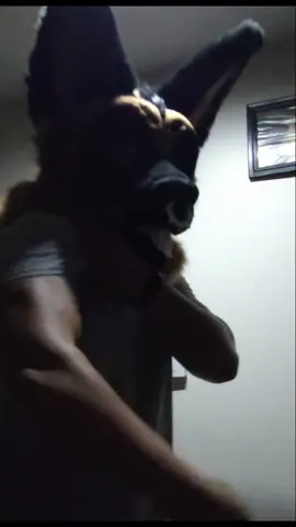 #gym #furry 