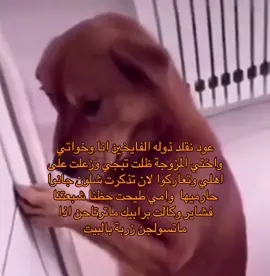 تئدم خطوة+قناتي تلي بالبايو