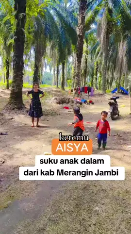 Aisya gadis cantik dari suku anak dalam Merangin Jambi #sukuanakadalamjambi #aisya #fypシ゚ #discovery #kisahnyata 