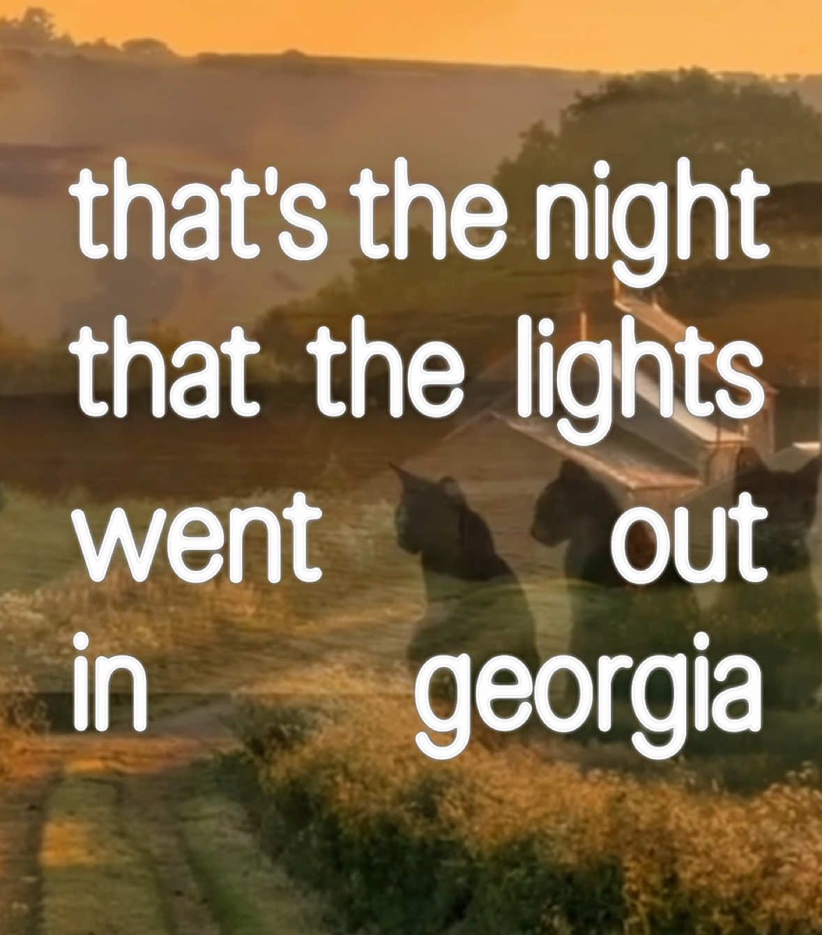 the night the lights went out in georgia - @Briley King  #fyp #lyricsvideo #brileyking 
