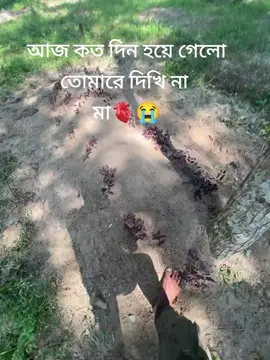 আজ কত দিন হয়ে গেলো তোমারে দেখি না মা 😭😭😭🫀