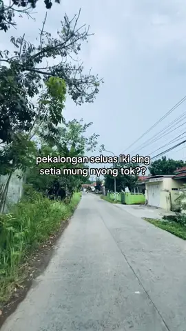 nyong tok ki? . . . #pekalongan #pekalongan24jam #fyp #foryou #masukberanda 