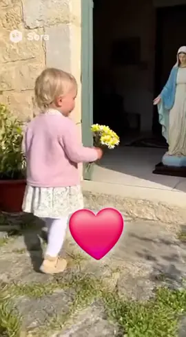 ❤️❤️❤️❤️❤️❤️❤️❤️❤️❤️❤️❤️