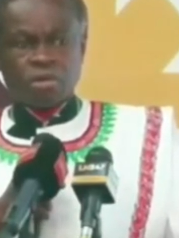 Ballots Create Kakistocracies in Africa ][ PLO Lumumba #fypシ゚