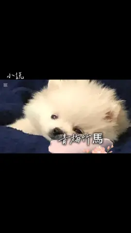 #CapCut 閨閨想的小說，後續只有我能拍喔！