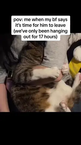Tag your man/girl 🎀😭  #catlover❤️ #foryoupage❤️❤️ #Love #cute #couple 