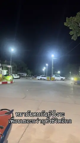 ยกพวกไปต่อยใครวะ55555#เทรนด์วันนี้ #ฟีดดด #หมาน่ารัก #หมาจร #ตลาดต้นตาลขอนแก่น #หมาตลก 