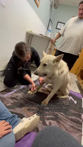 Farewell to my dog #foryou #dog #doglover #dogsoftiktok #dogs